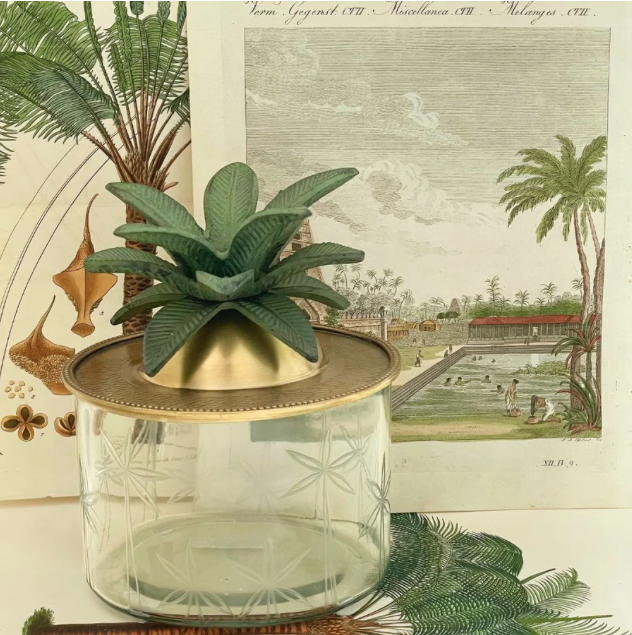 Trinket Box - Palm Brass