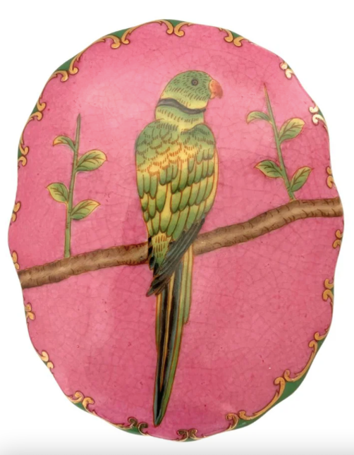 Trinket Box Perroquet