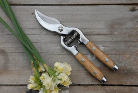 Secateurs Ash Handles