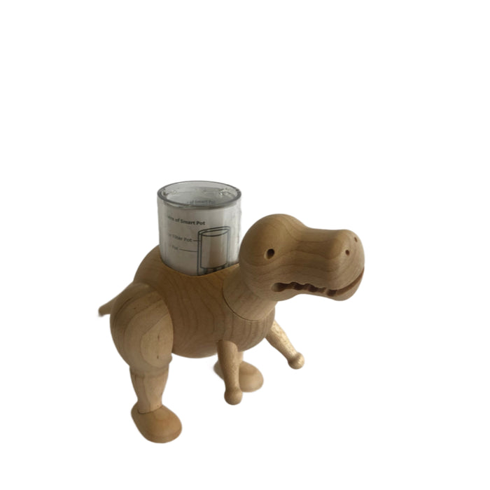 Mini Dino Planters