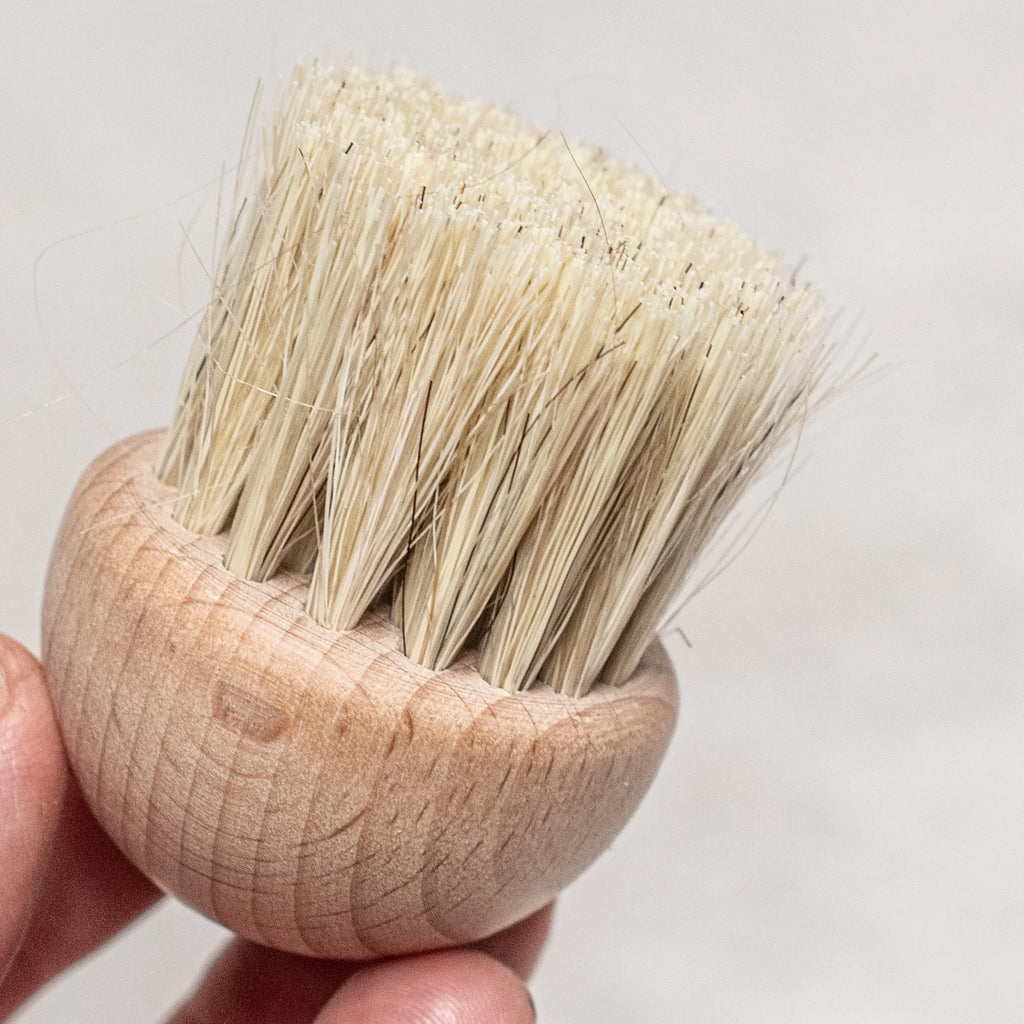 Mushroom Brush