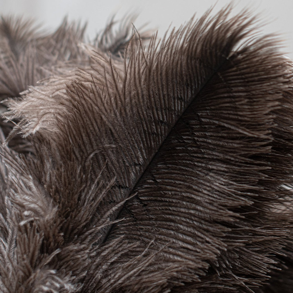 Feather Duster