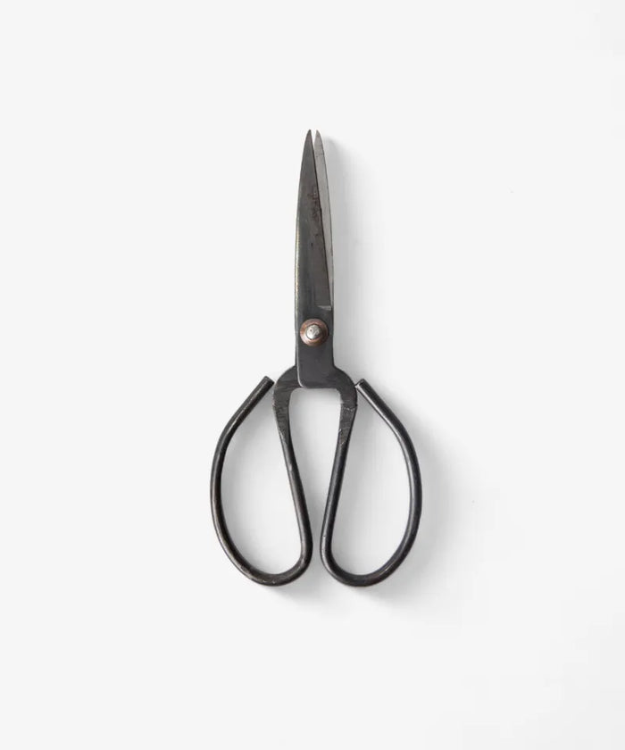 Herb Scissors