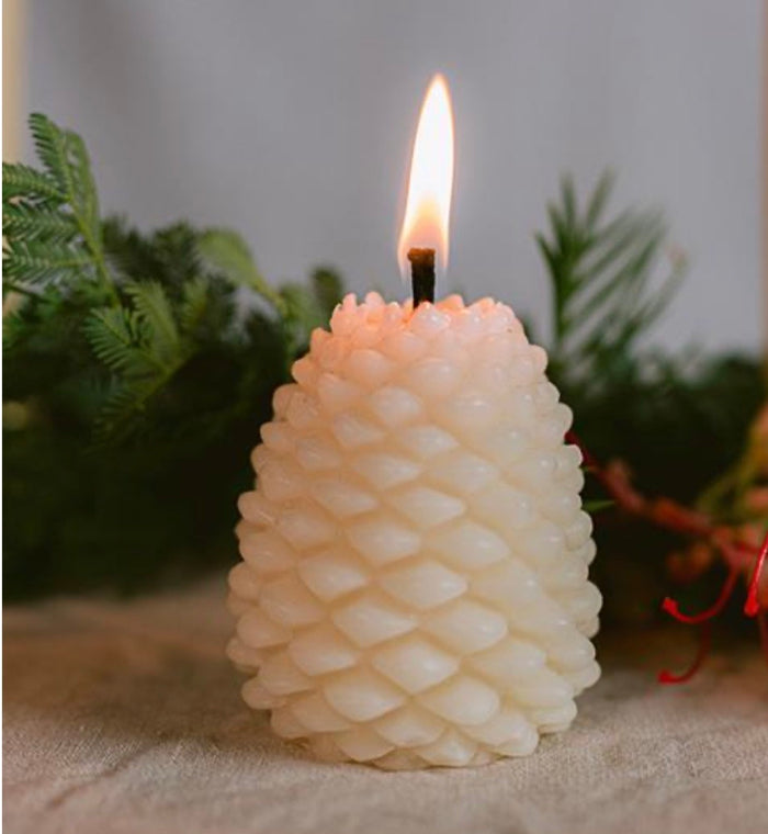 Queen B - Pine Cone Candle